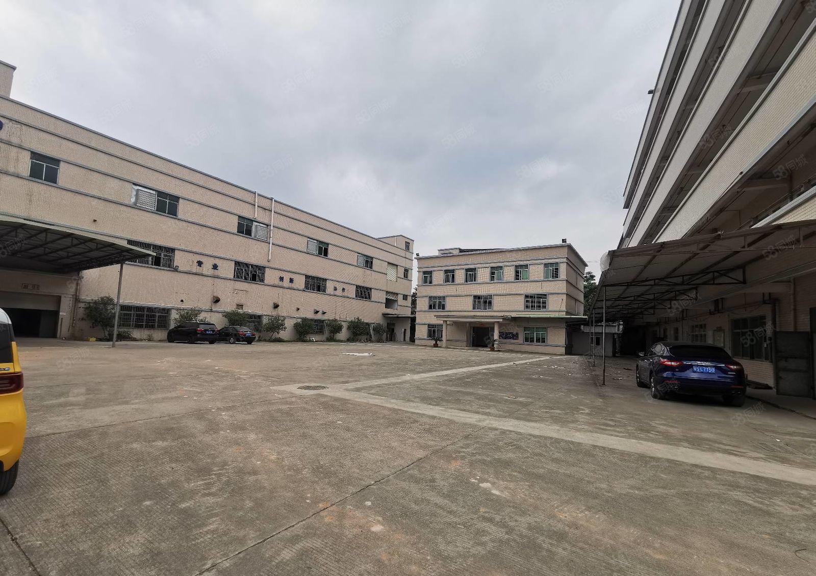 常平原房东独院分租一楼1500平实际面积