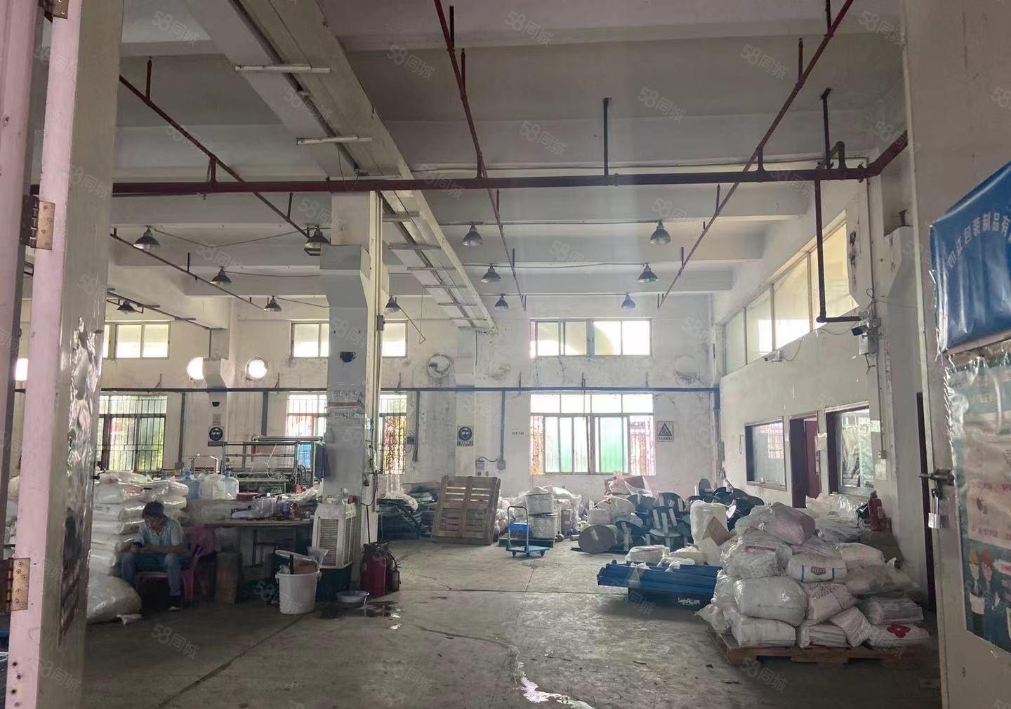 常平标准一楼6米高带牛角1200平工业用地形象非常漂亮空地大