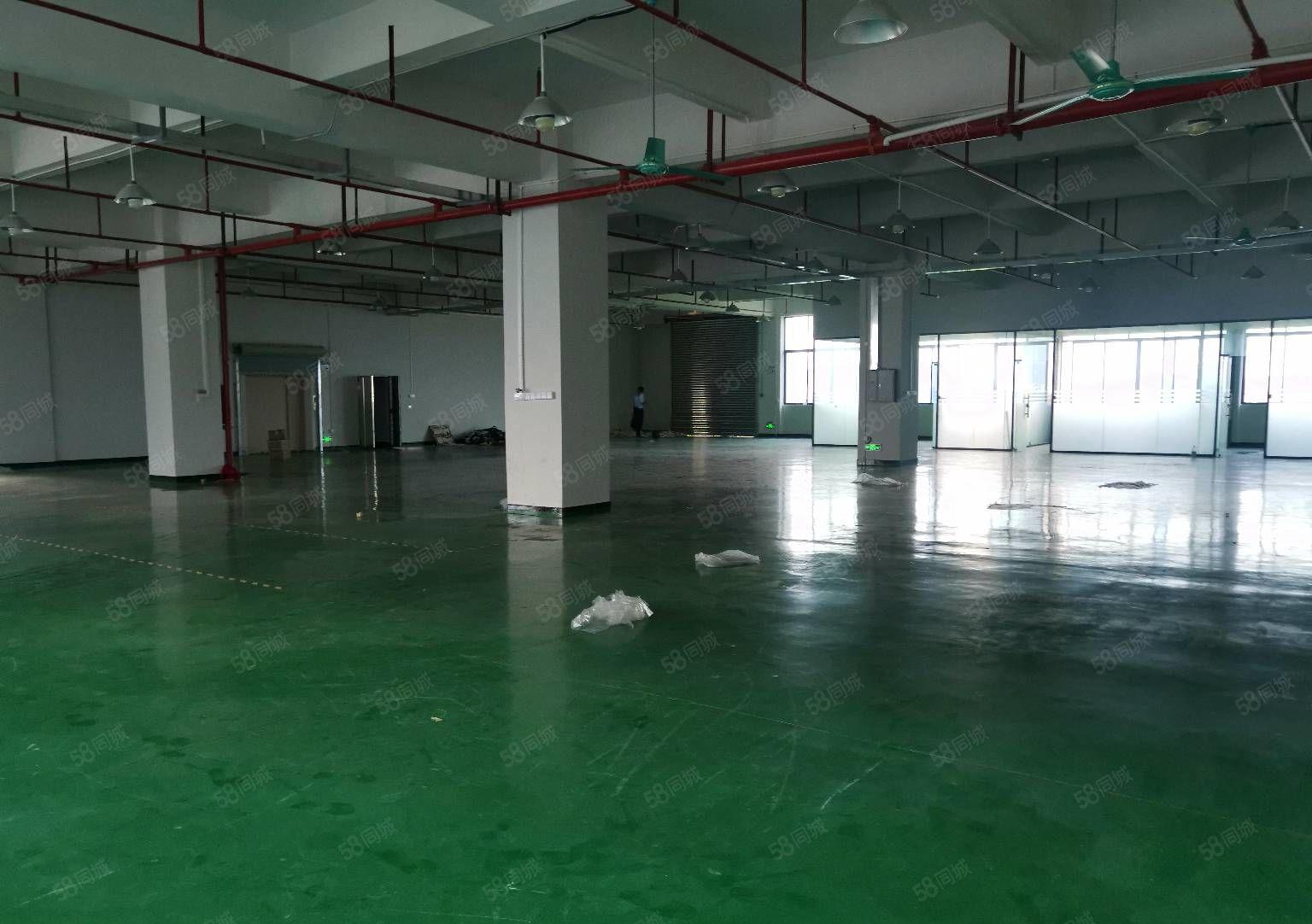 常平镇新出楼上全新厂房，精装修，300平方起租。