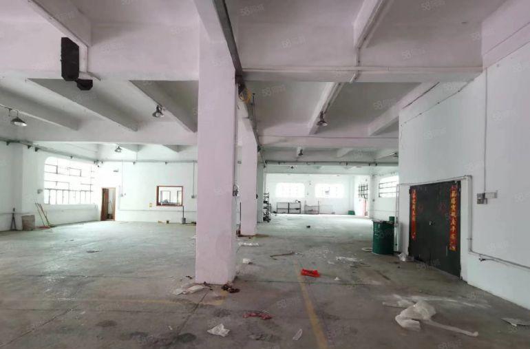 常平霞坑标准小独院厂房仓库分租标准一楼800平方易招工带装修