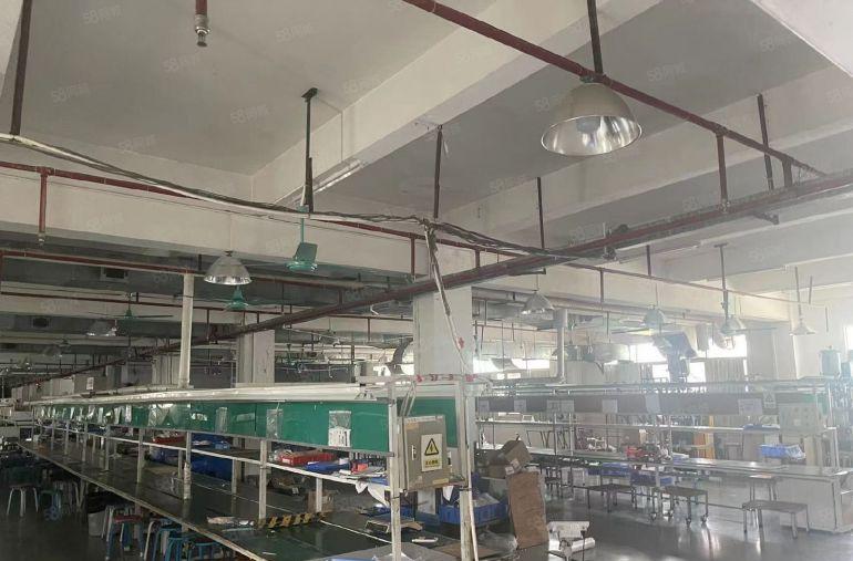 常平原房东独院，独立办公楼，空地超大，工业用地