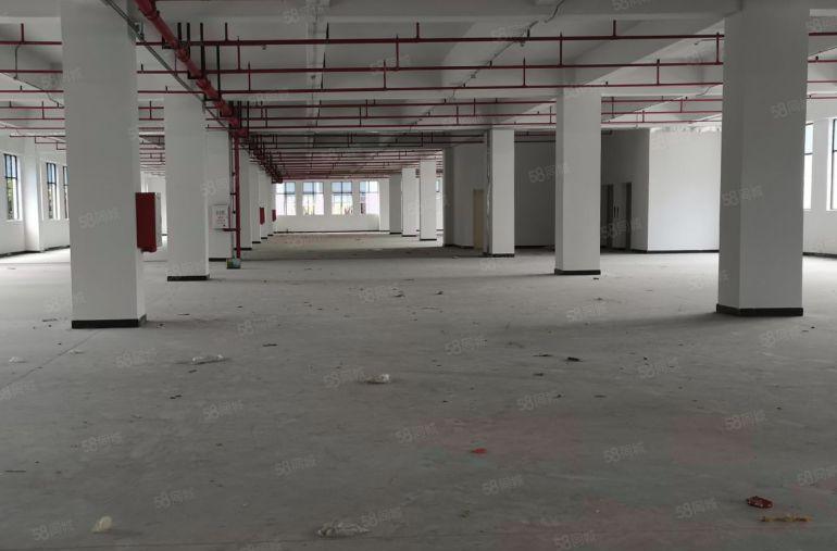 常平镇独院标准13000平方厂房出租，空地大环境好，价格便宜