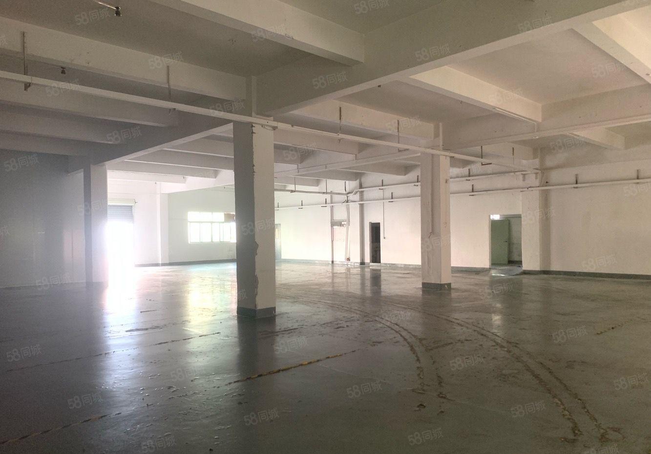 常平新出标准一楼780平 现成装修办公室 主线到车间工业用地