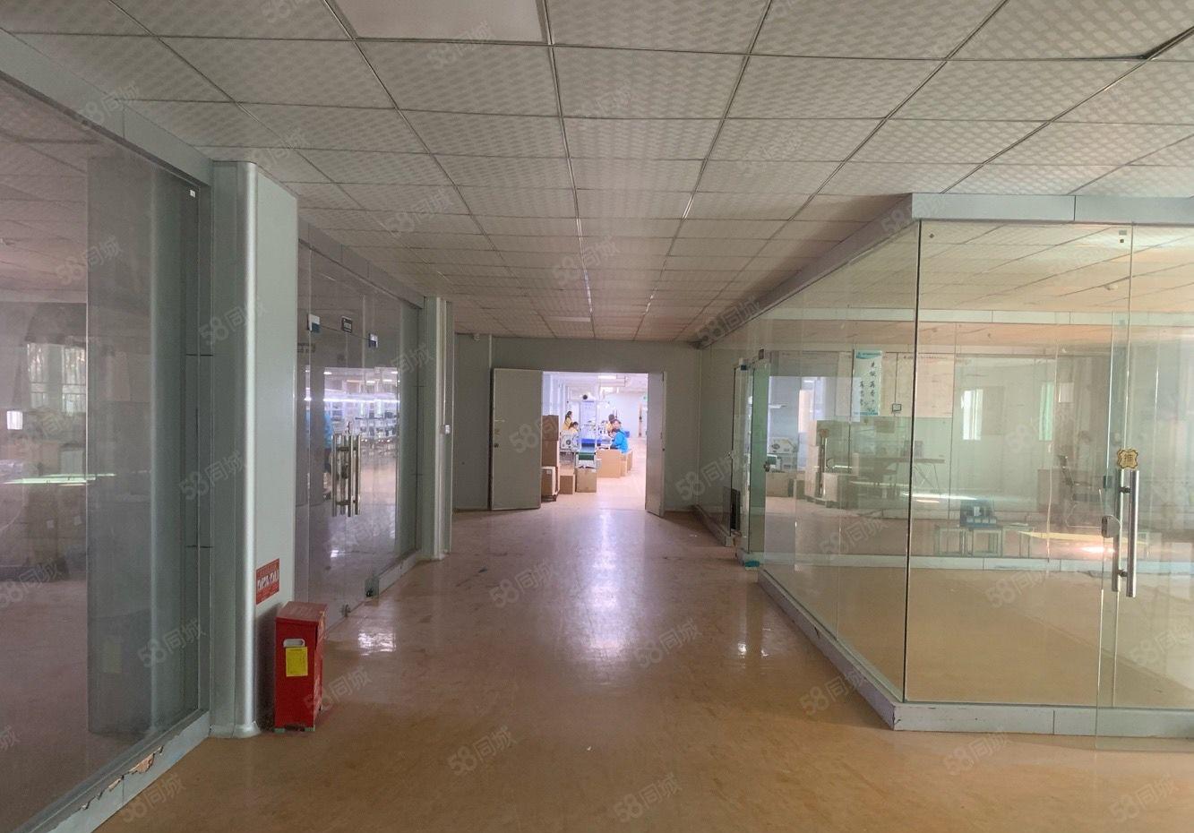 常平新出花园式厂房 实际面积 带现成豪华装修 工业用地。