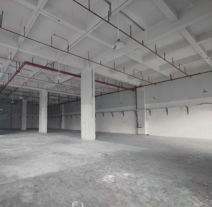 常平镇原房东标准一楼1200平方厂房出租，交通便利，价格便宜