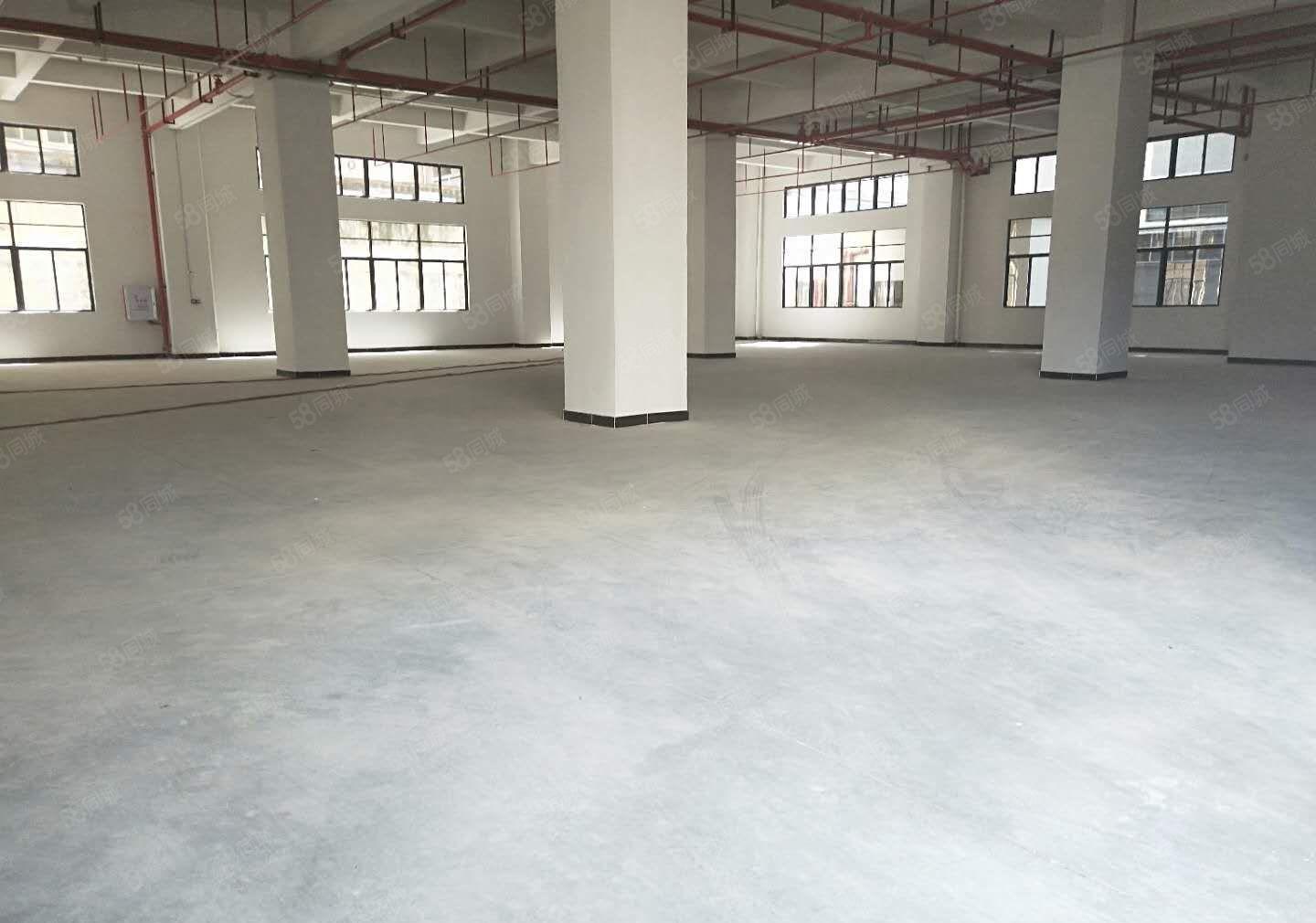 常平新出原房东自建标准厂房对外低价出租