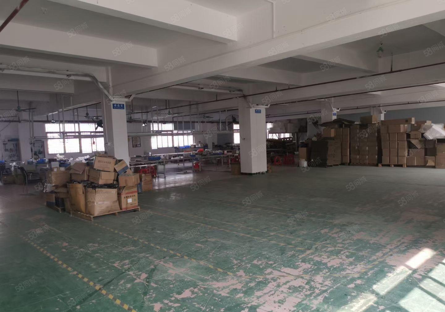 常平镇 独门独院低价出租 豪华装修 形象好 空地大 工业用地