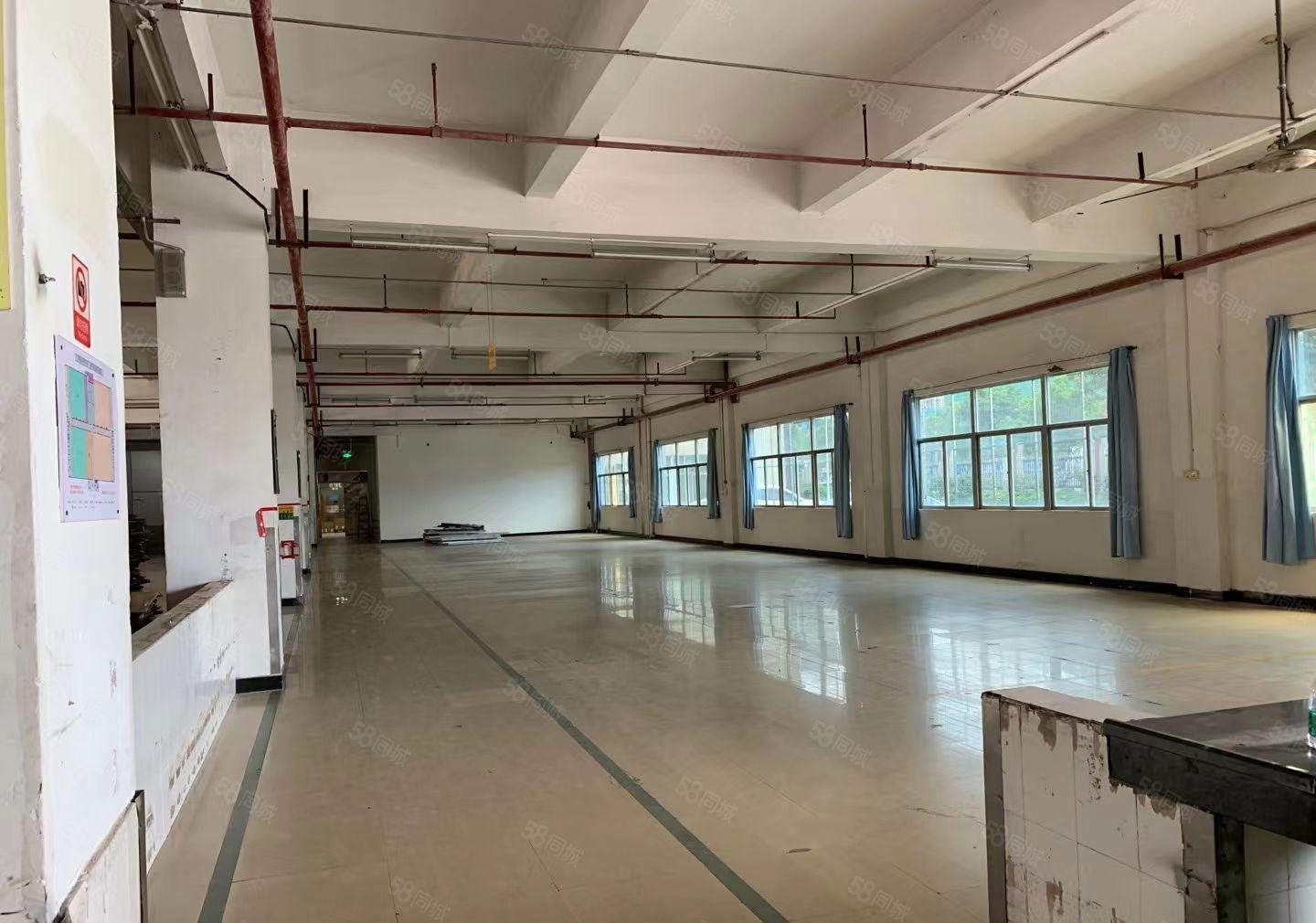常平还珠沥厂房分组二楼1300平方带装修形象好空地大楼上招租