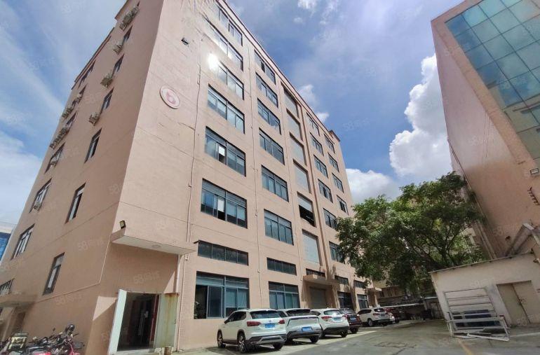 低价12元常平横江工业区1500平标准厂房可分带装修