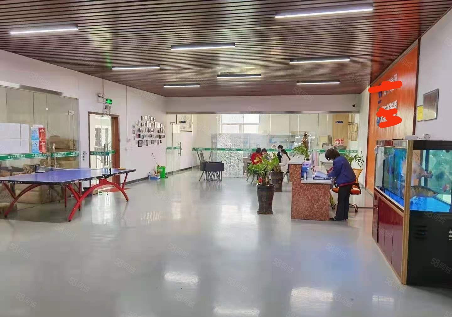 常平新出标准二楼2100平，豪华装修