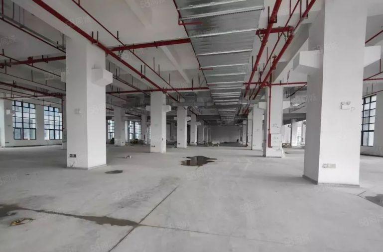 常平东莞东站附近全新厂房1200