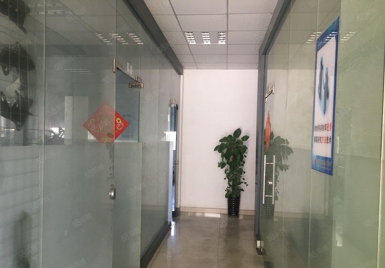 独院单层厂房3300平方，滴水9米，水电线路齐全，工业集聚地