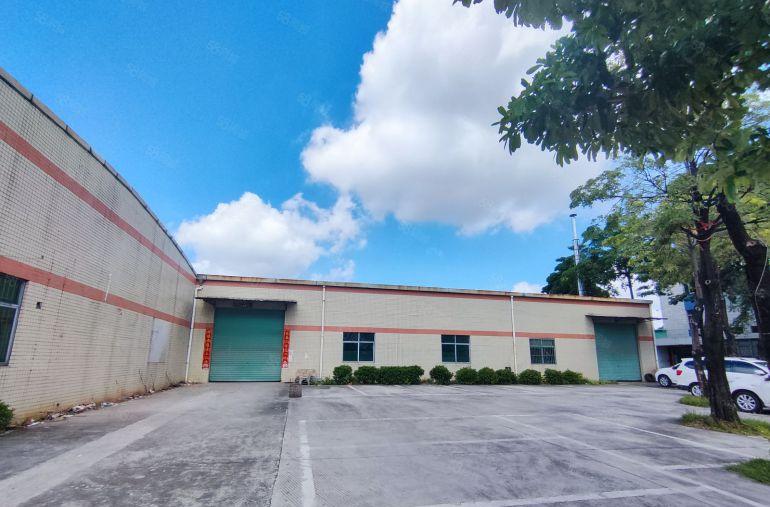 常平原房东单一层独院厂房2000平低价出租，空地超大交通便利