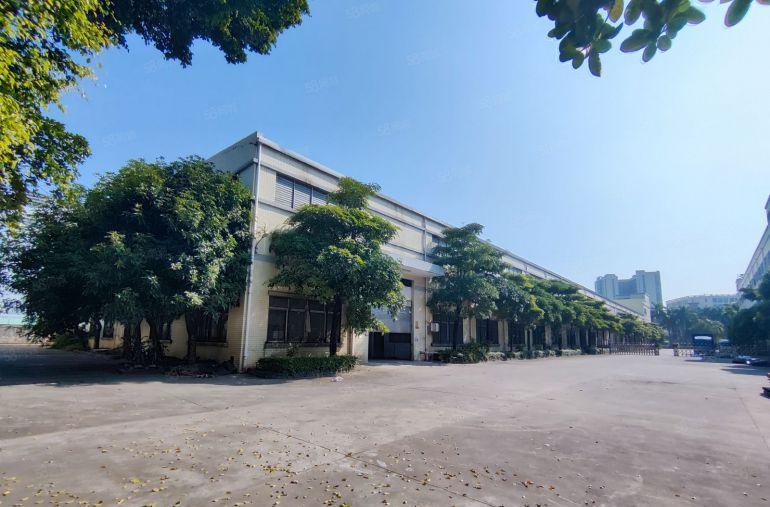 现成豪华装修砖墙到顶单一层带独立办公楼一手房东低价出租形象好