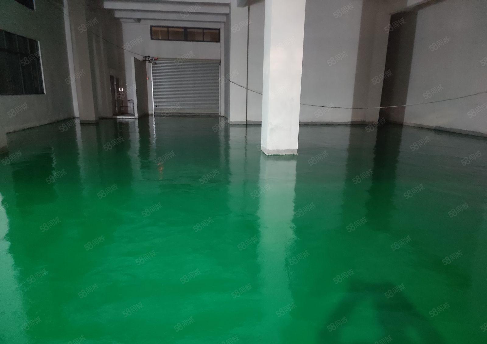 整层厂房出租13元 260平起 全新地坪漆 每层500平