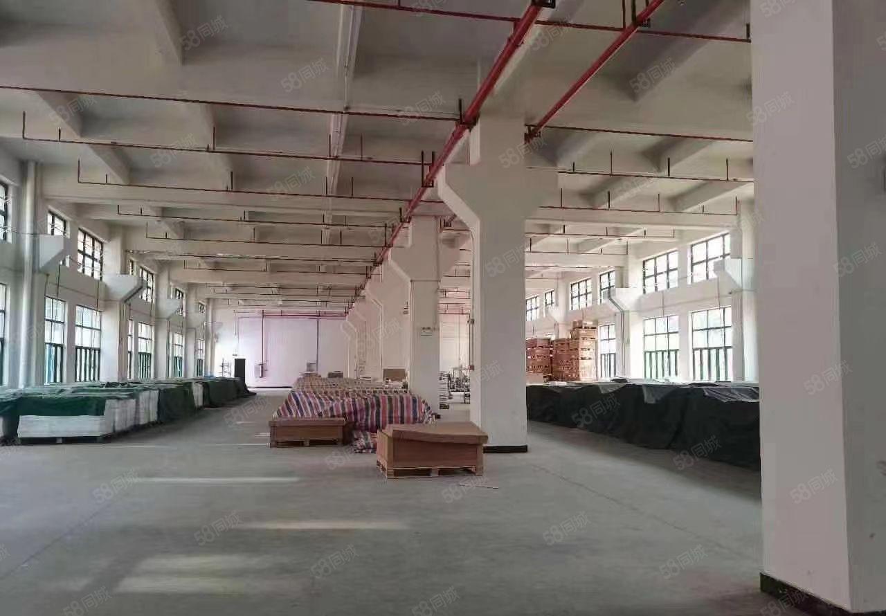 常平白石岗工业区全新独栋标准厂房15层8800平方带牛角