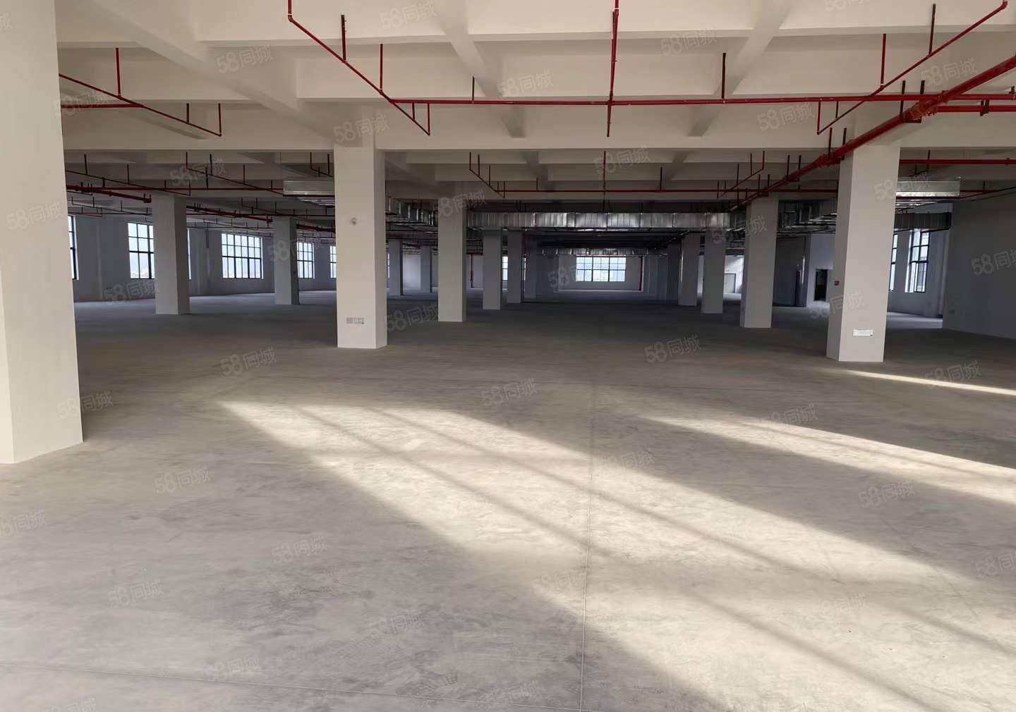 常平红本工业园新出二三四楼各5120平方二楼带牛角有卸货平台