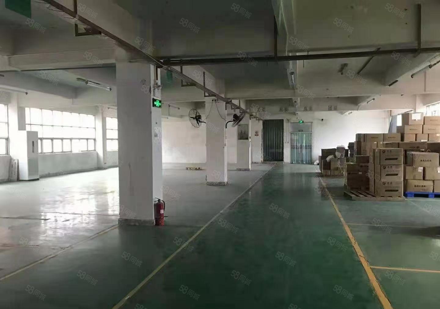 常平镇新出花园独院厂房总面积10000平，空地大水电装修齐全