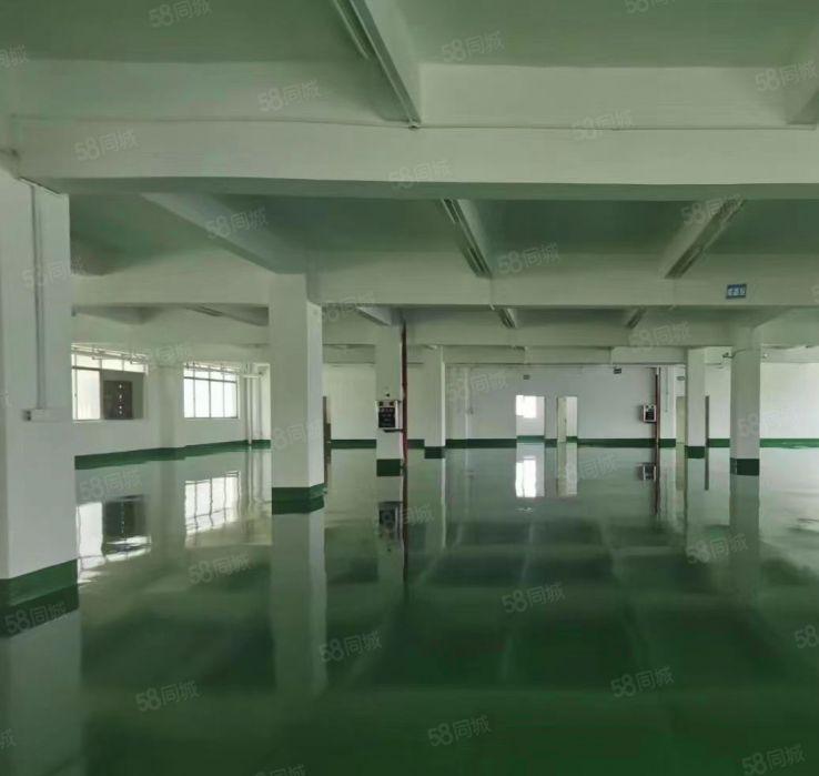 常平镇原房东标准二楼1200平方厂房出租，价格便宜，交通便利