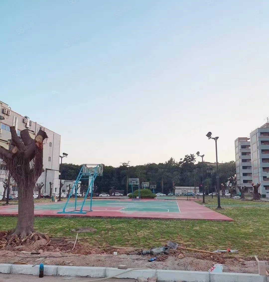 常平红本带卸货平台，5吨货梯，二三四楼各5000平方，可分租