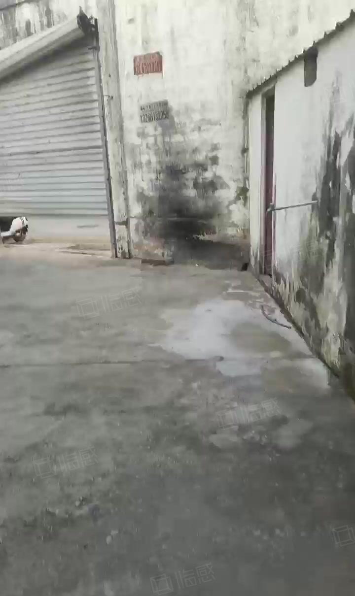 低价出租黄江隔壁桥沥原房东小独院750平单一层钢构厂房高6米