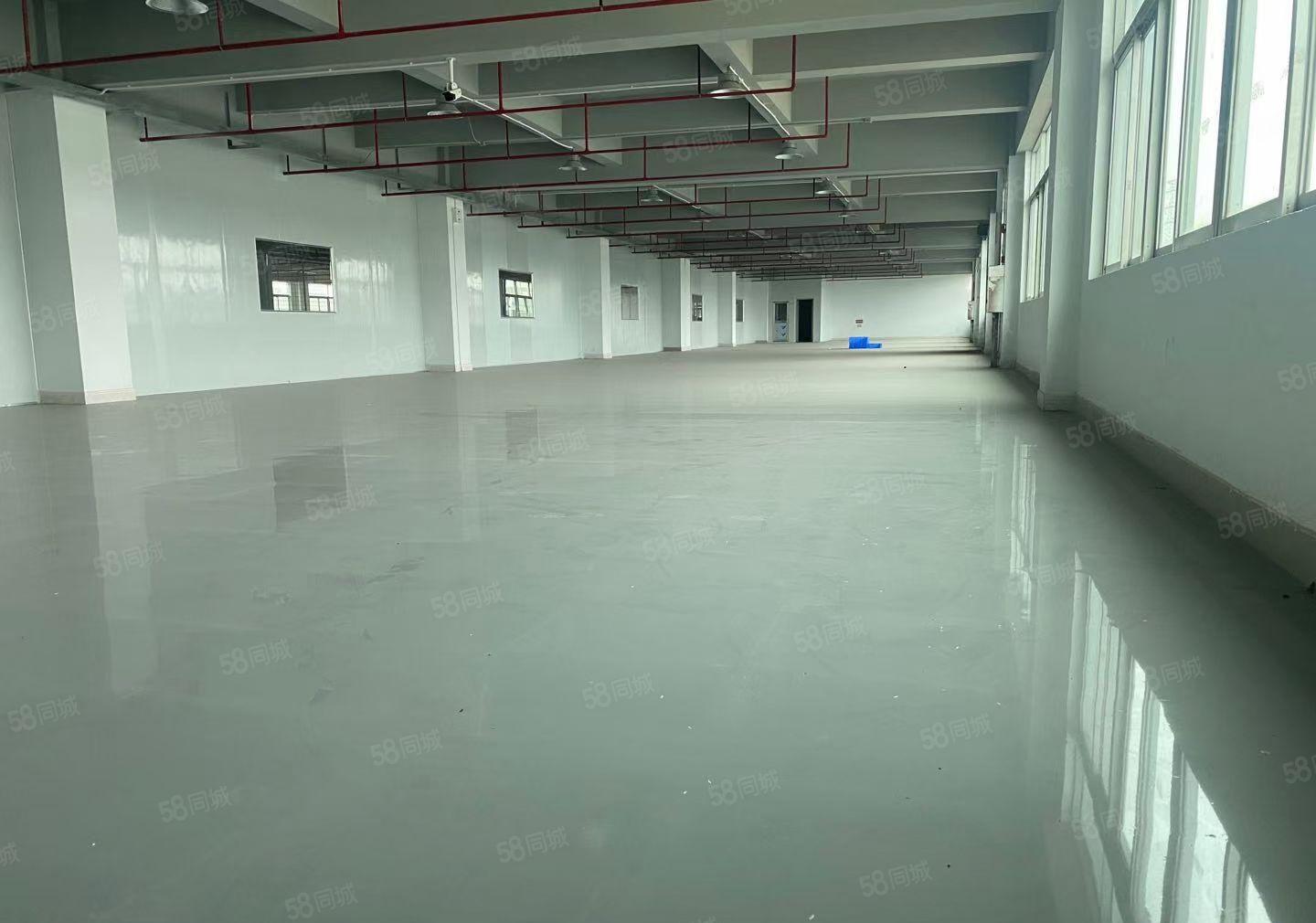 常平镇新出独院标准厂房15000平方，形象好空地大，豪华装修