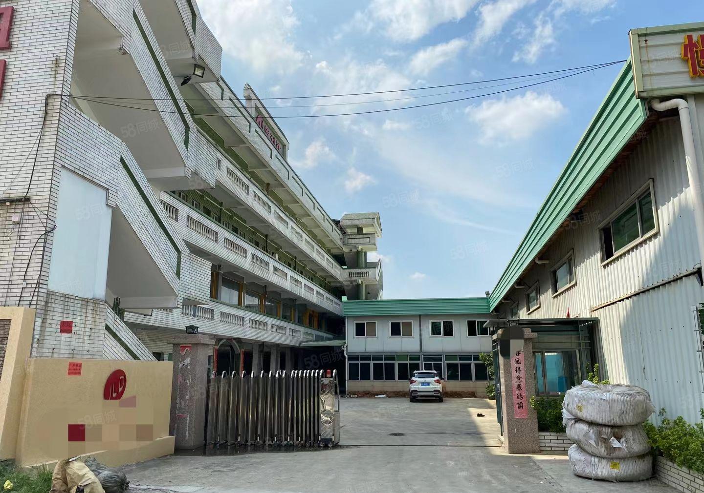 常平镇桥沥村原房东单一层钢构滴水八米独院厂房6250平米出租