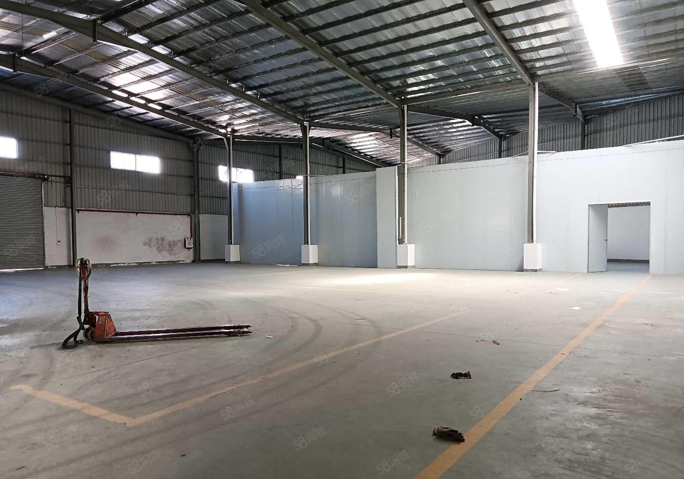 常平原房东全新钢结构厂房，5000平方，价格可面议