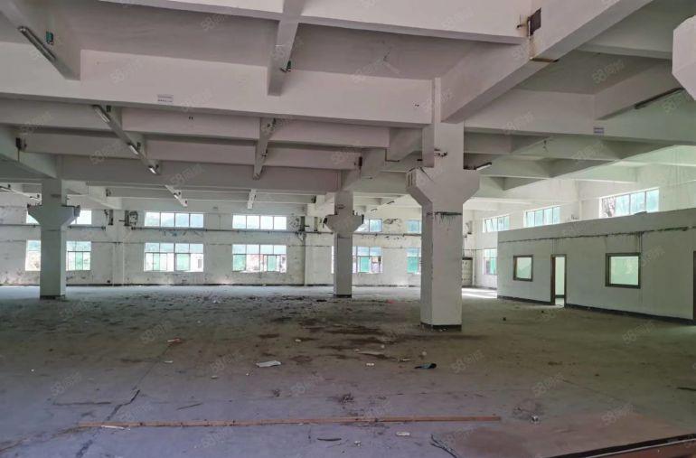 超低价单一层砖墙到顶钢构厂房分租1000平方空地大形象好便宜