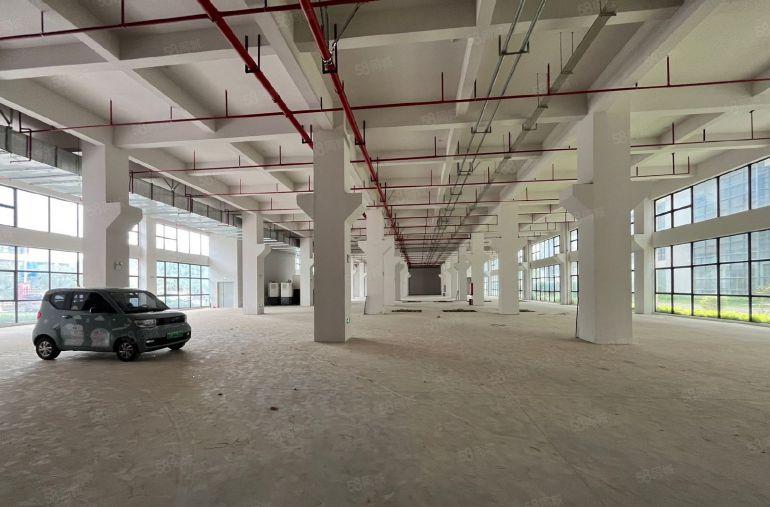 常平全新厂房招租单层面积3100和2100不等（大小可以分租