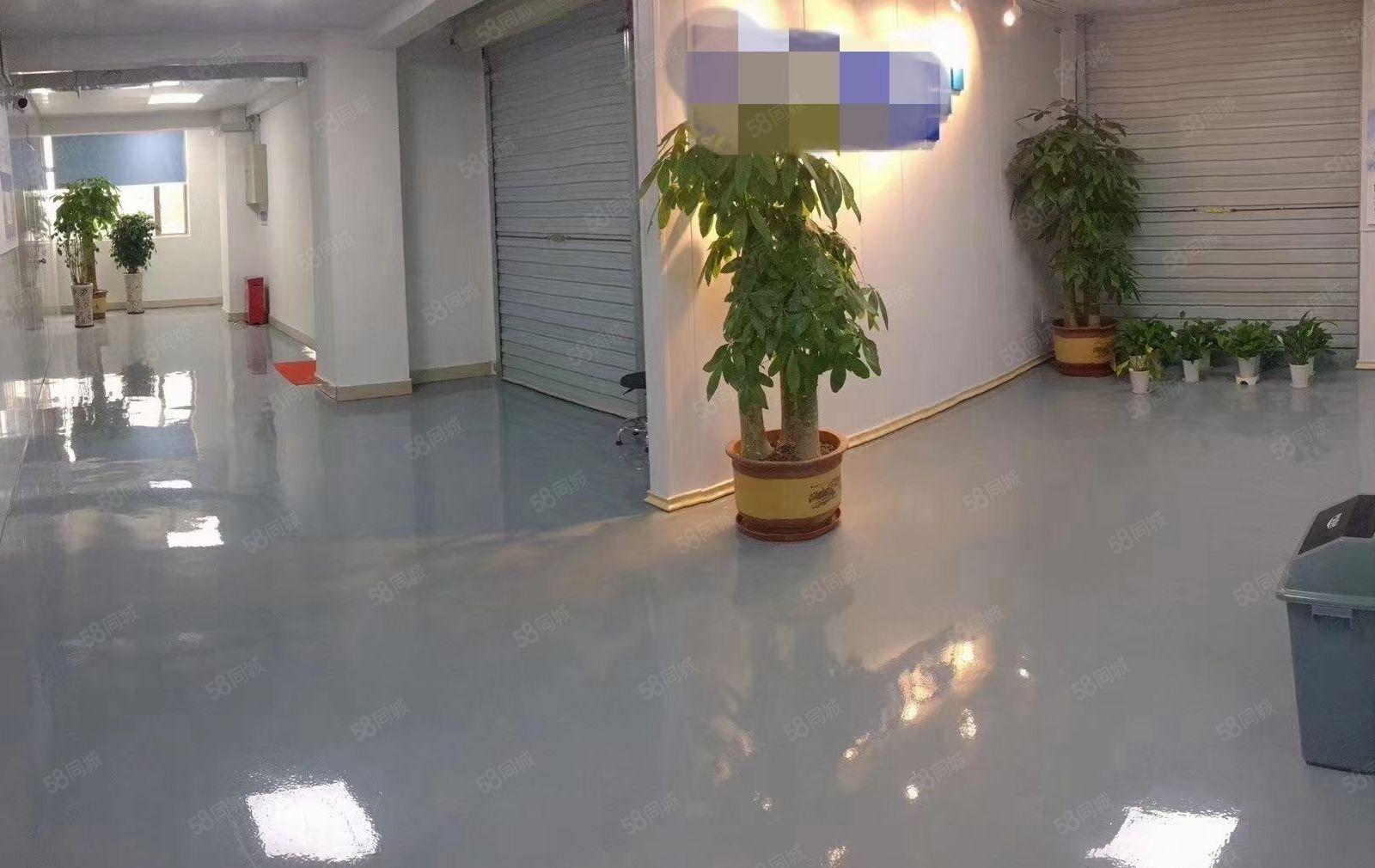 疫情低价出租常平镇袁山贝科技园现成无尘车间880平出租