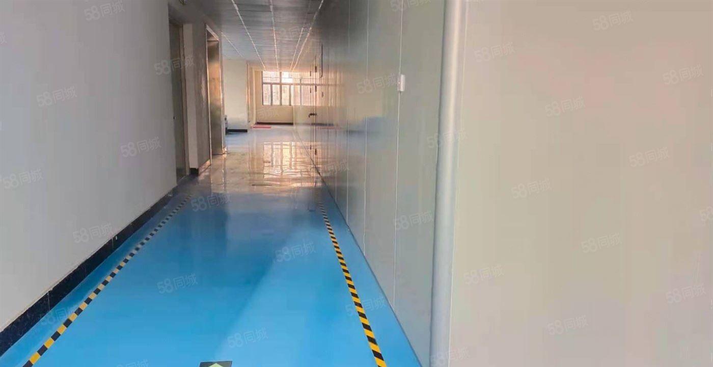 常平新出十万级无尘车间2500平方，直接拎包生产