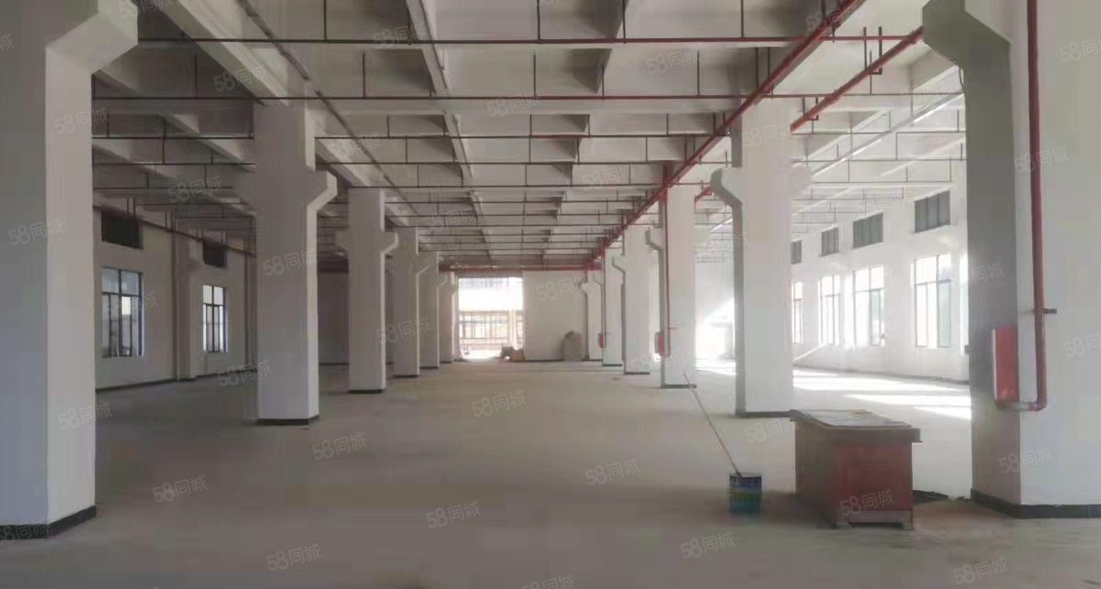 常平镇新出全新工业用地带红本带环评标准厂房招租