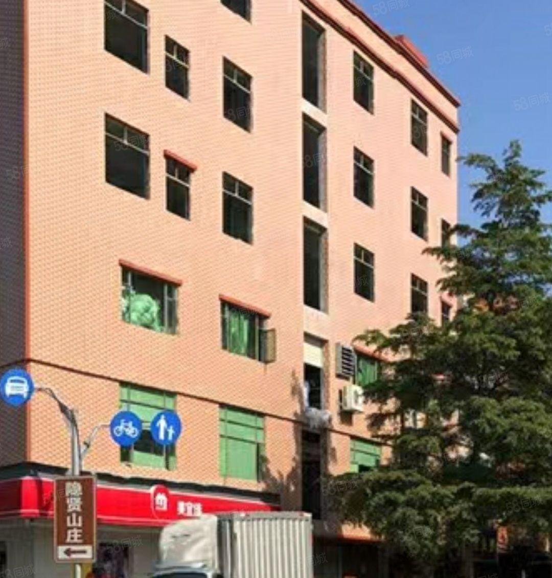 元江元厂房出租 全新厂房 整层出租 可进大货车