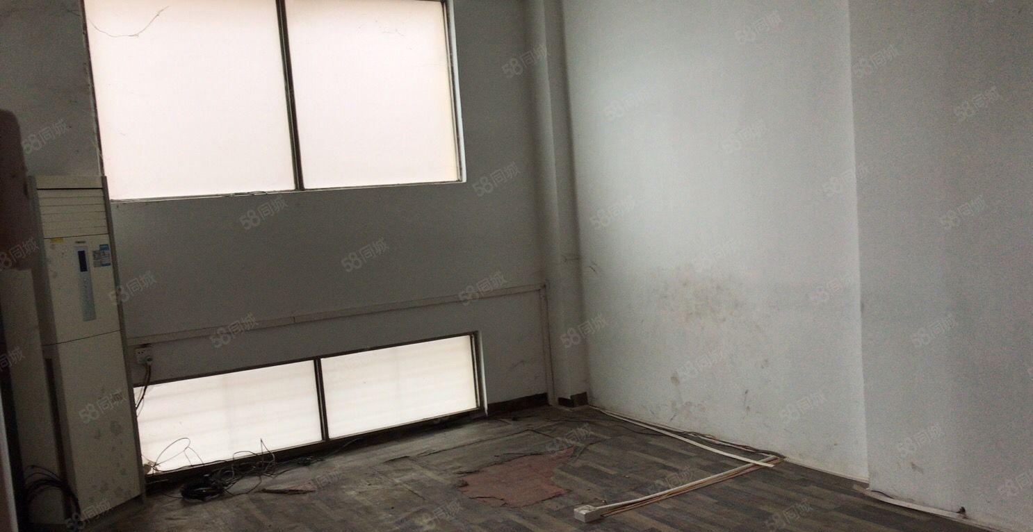 常平新出一楼700平高6米厂房工业用地