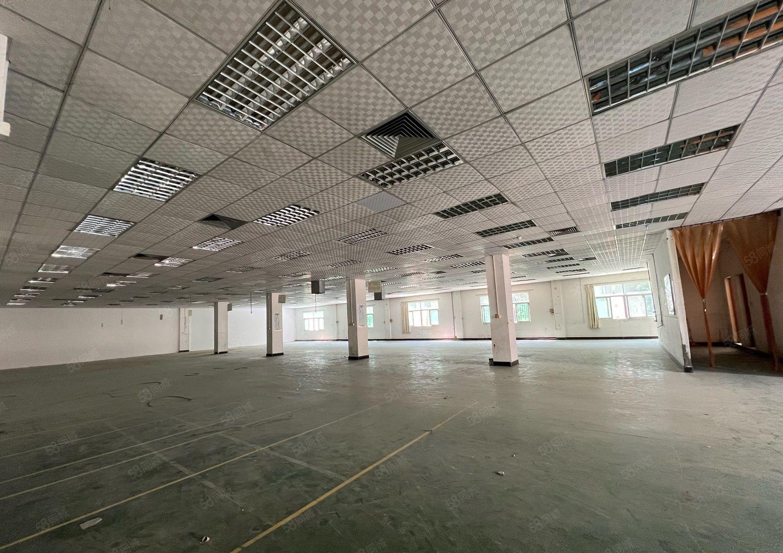 常平九江水楼上独立1380平出租 现成装修 搬进去即可生产