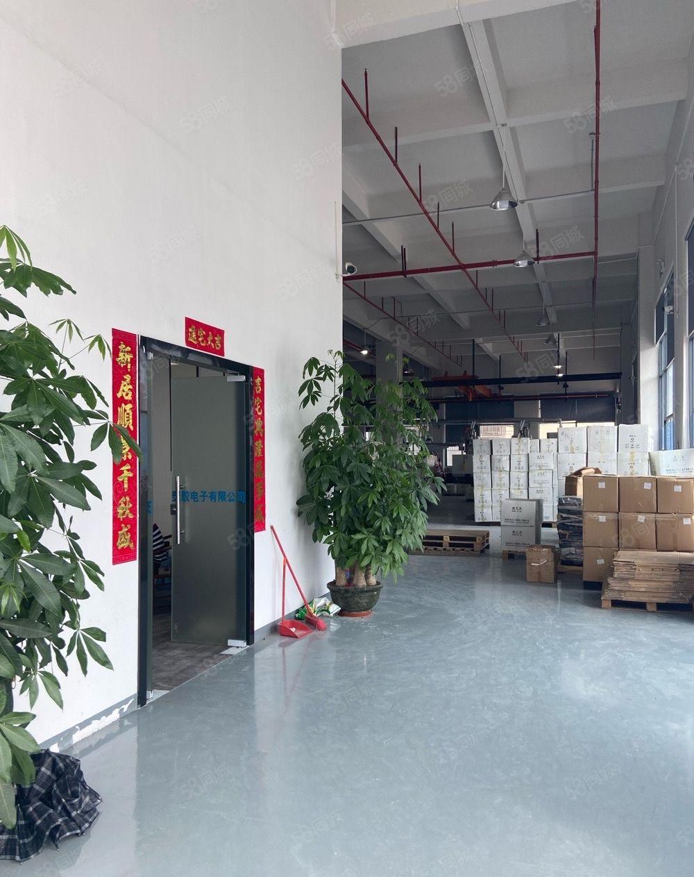 独院标准厂房一楼2500平方层高6米，水电线路办公室装修齐全