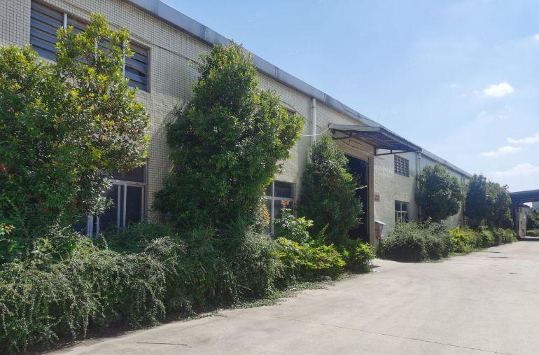 常平司马单一层钢构工业园滴水8米1万平方500平起无柱子低价