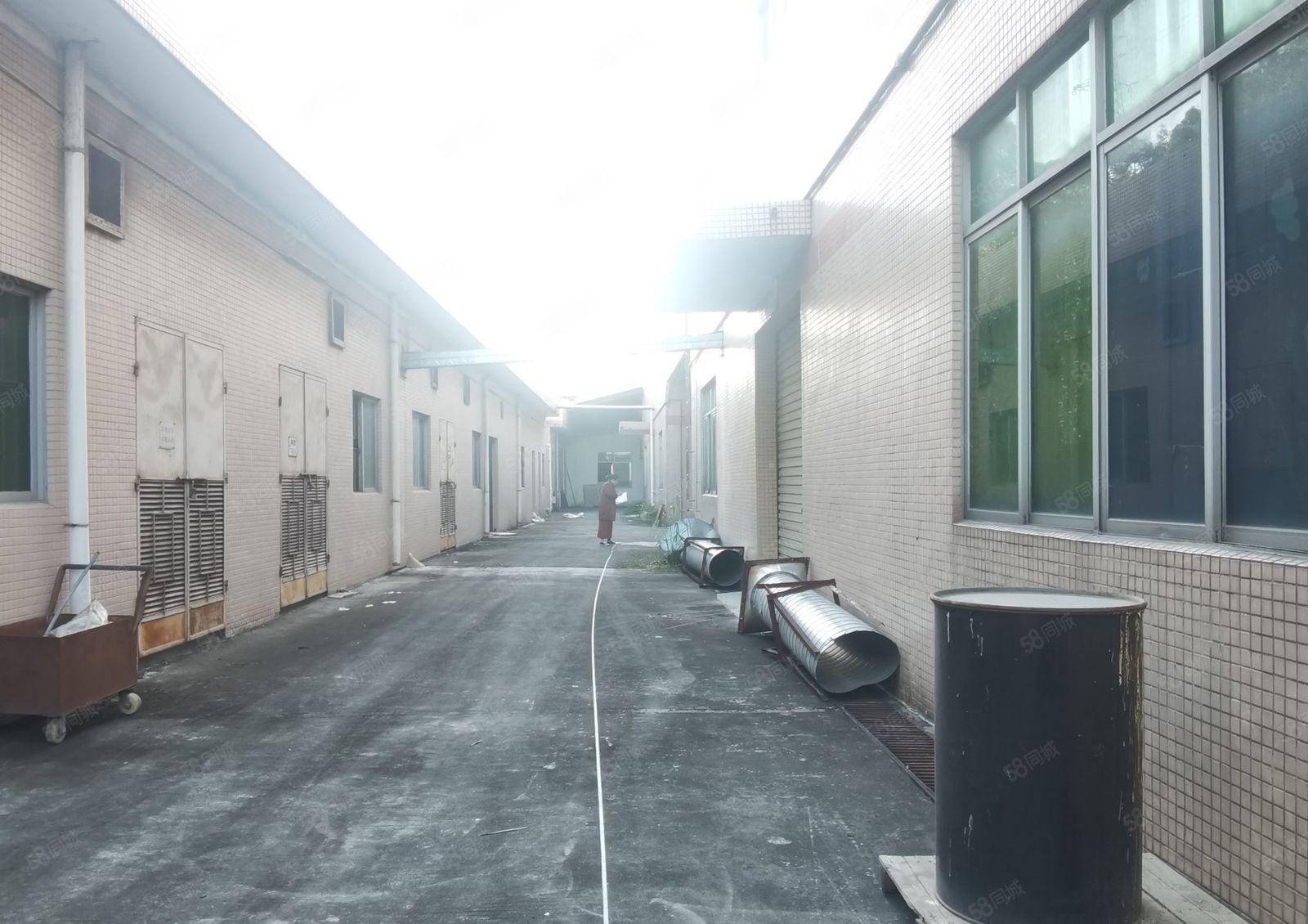 天燃气，蒸汽锅炉砖墙到顶独院15000平方共4栋，可分租