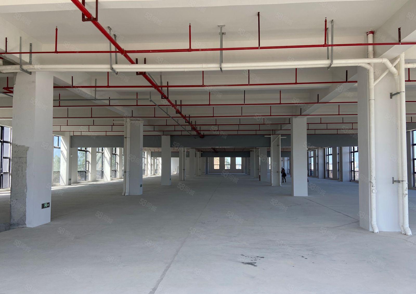 常平原房东红本楼房25000平方，单层面积2500，大小分租