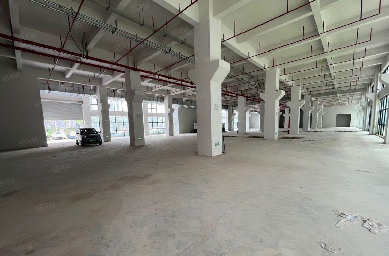 常平全新厂房招租单层面积3100和2100不等（大小可以分租