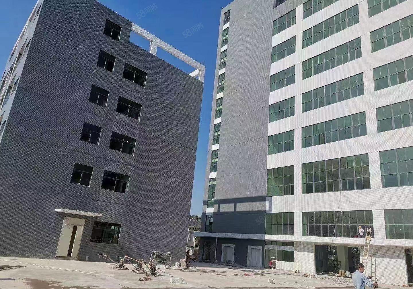 常平土塘全新独门独院厂房出租