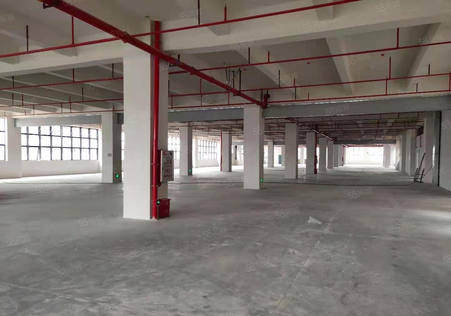 常平全新制造园1至7层单层2千平3栋红本厂房