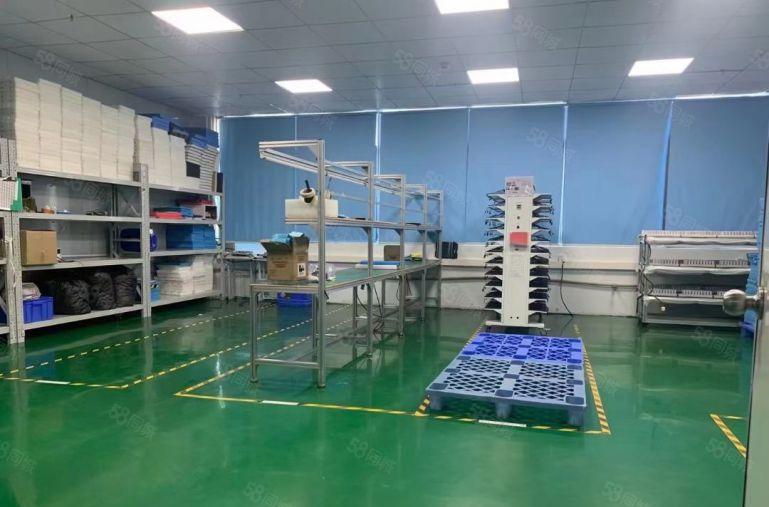 常平10元厂房零押金，无公摊面积精装修水电到位拎包入驻