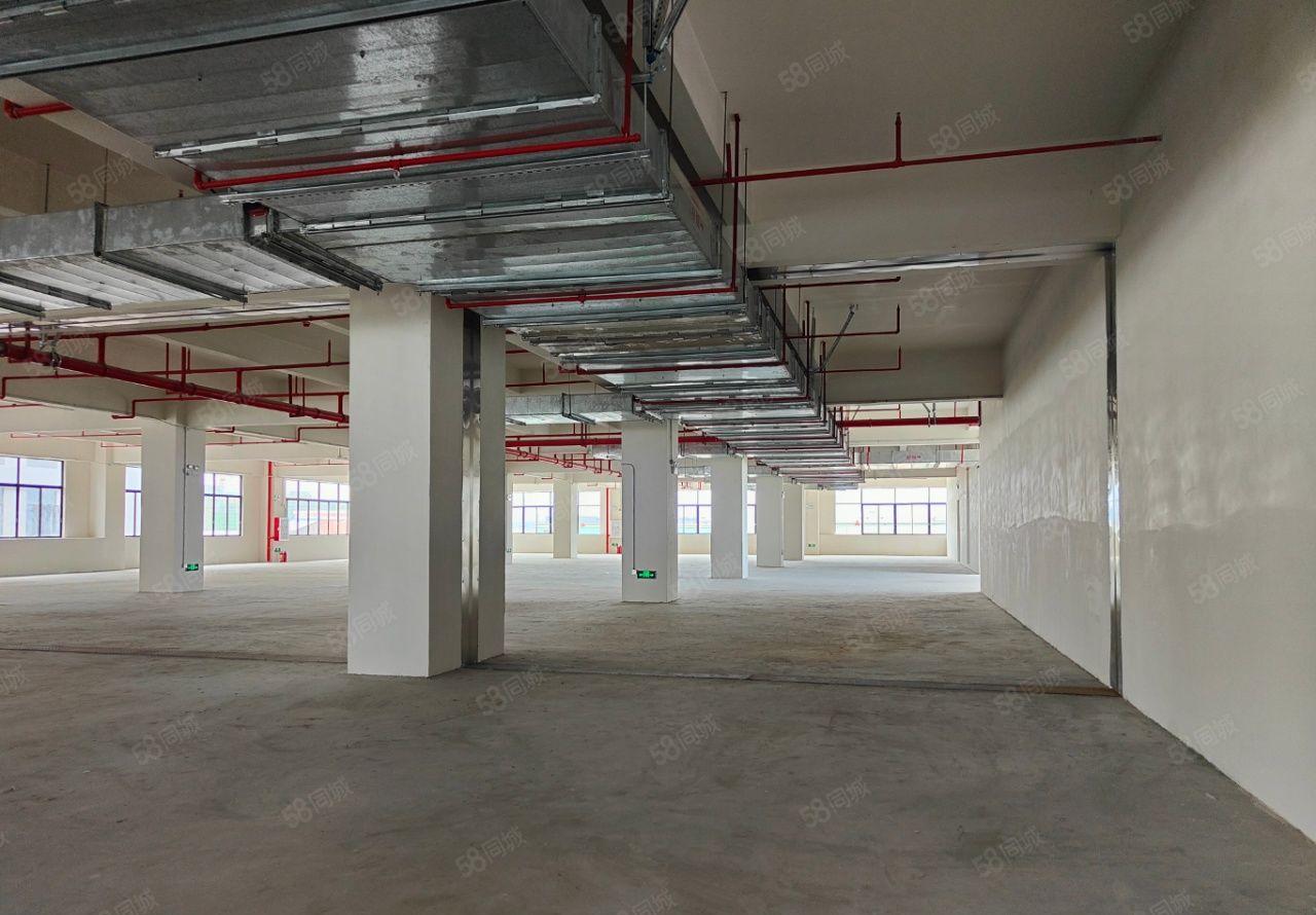 钜惠！常平镇全新标准厂房出租，独门独院  可办环评 大小可分