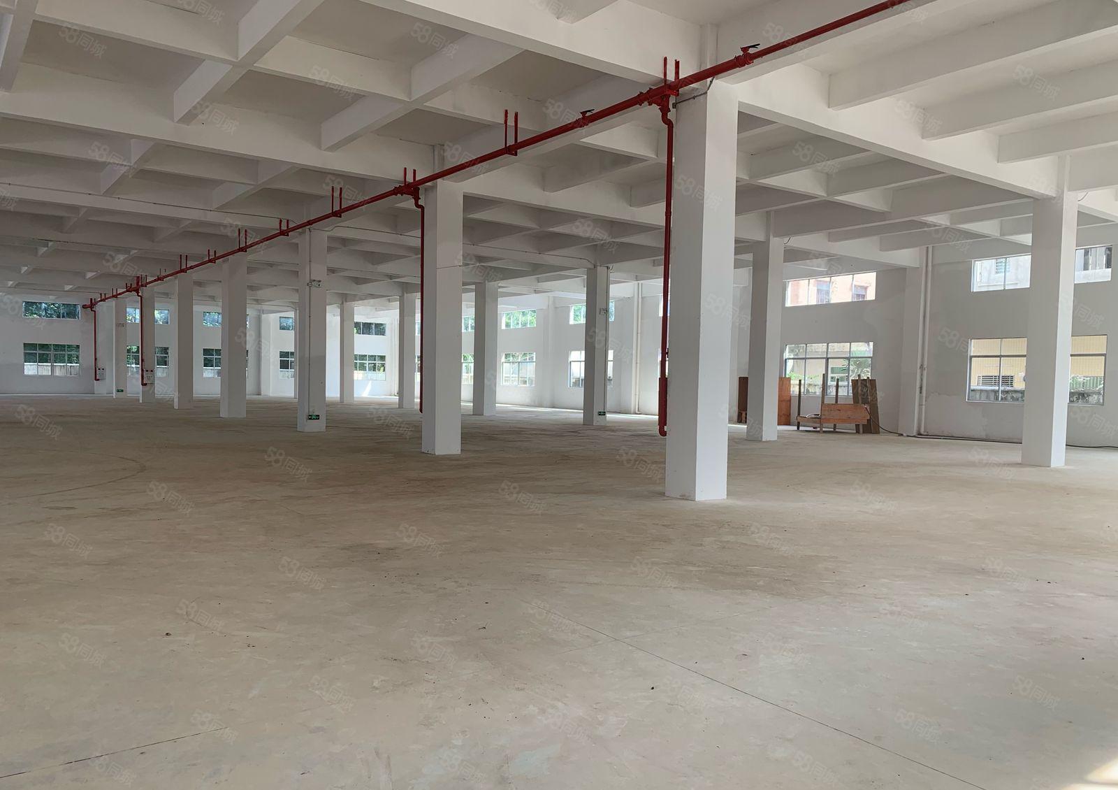 常平1500平标准厂房大小可分租