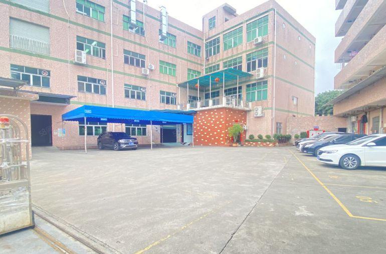 常平原房东一楼，实量面积出租，带地坪漆，光线好，价格便宜！