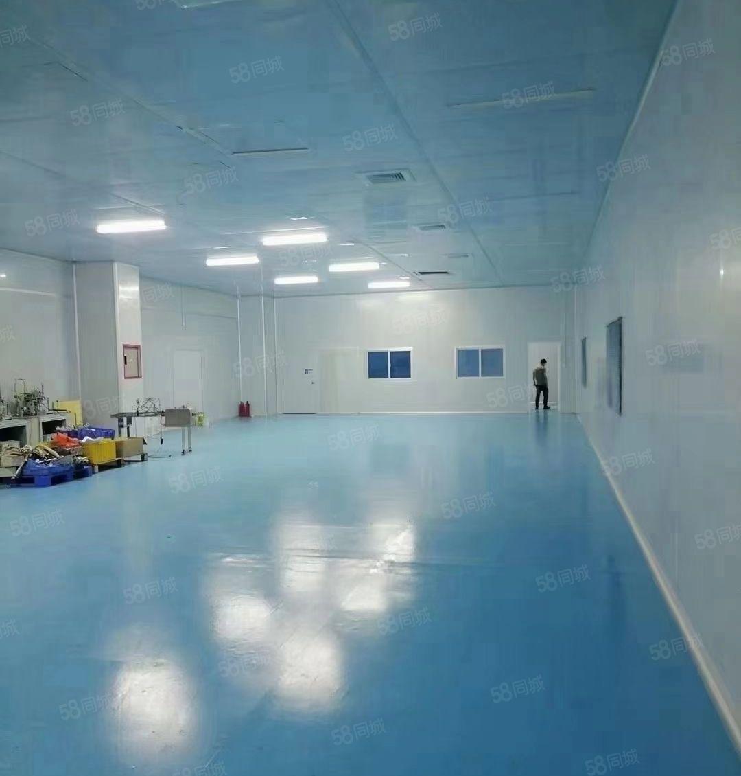 常平镇1200平豪华装修无尘车间转让