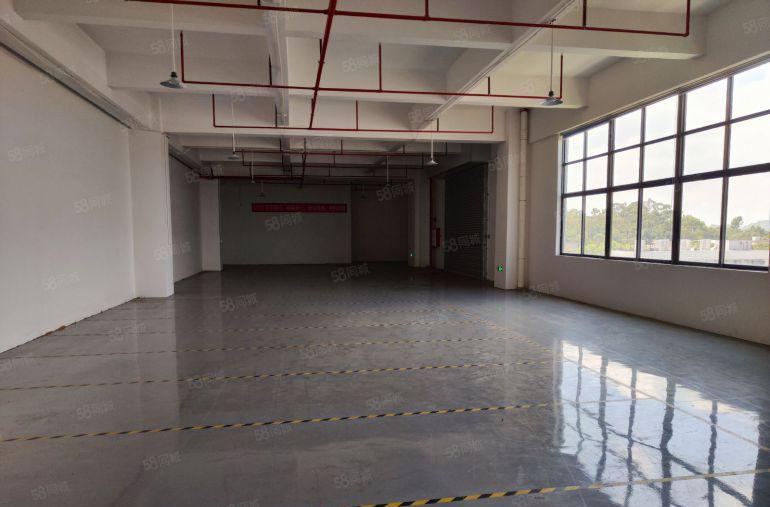 常平原房东楼上水电齐全全新环氧地坪漆实际面积出租有卸货平台