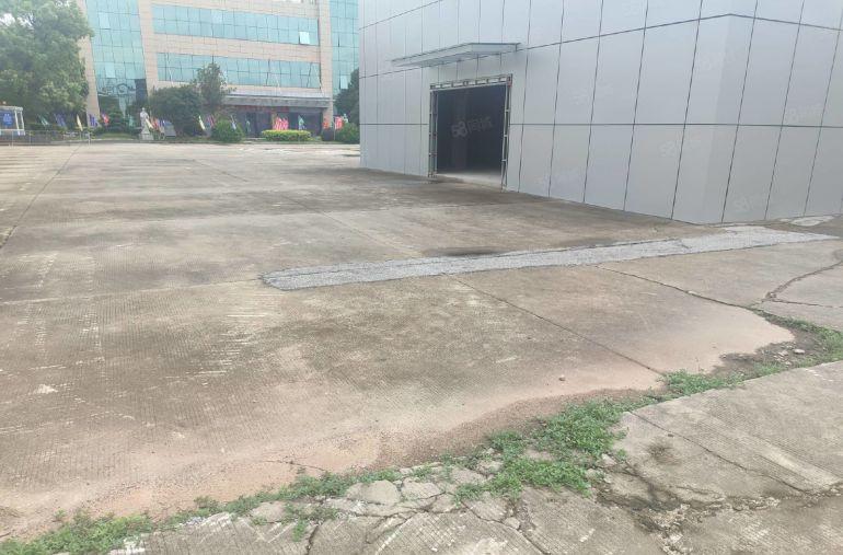 常平靠大朗金美村新出笋盘原房东滴水8米高钢构，空地广。